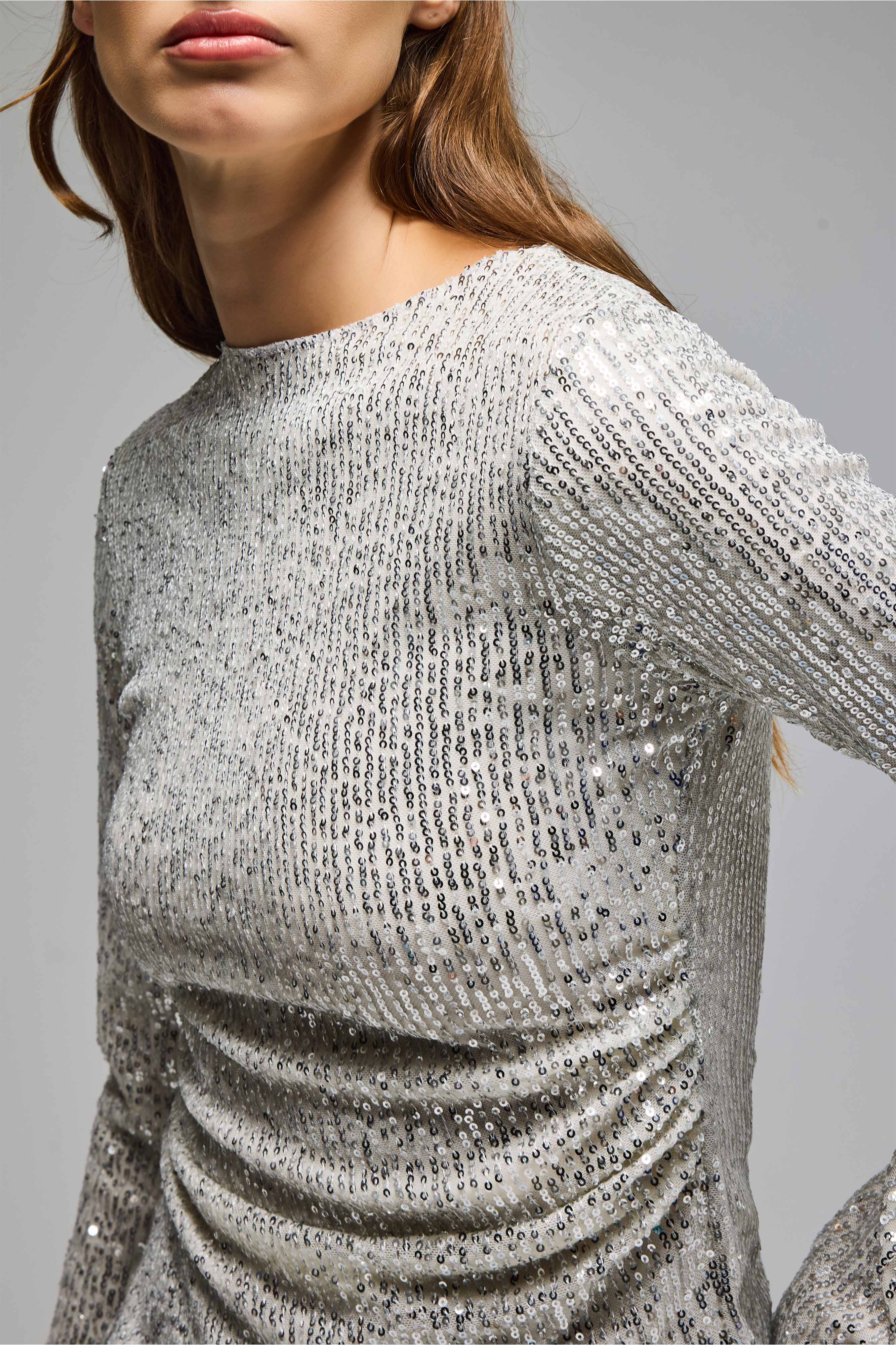 Kadın Ekru Silver Renk Pul Payet Detaylı İçi Astarlı Tasarım Bluz