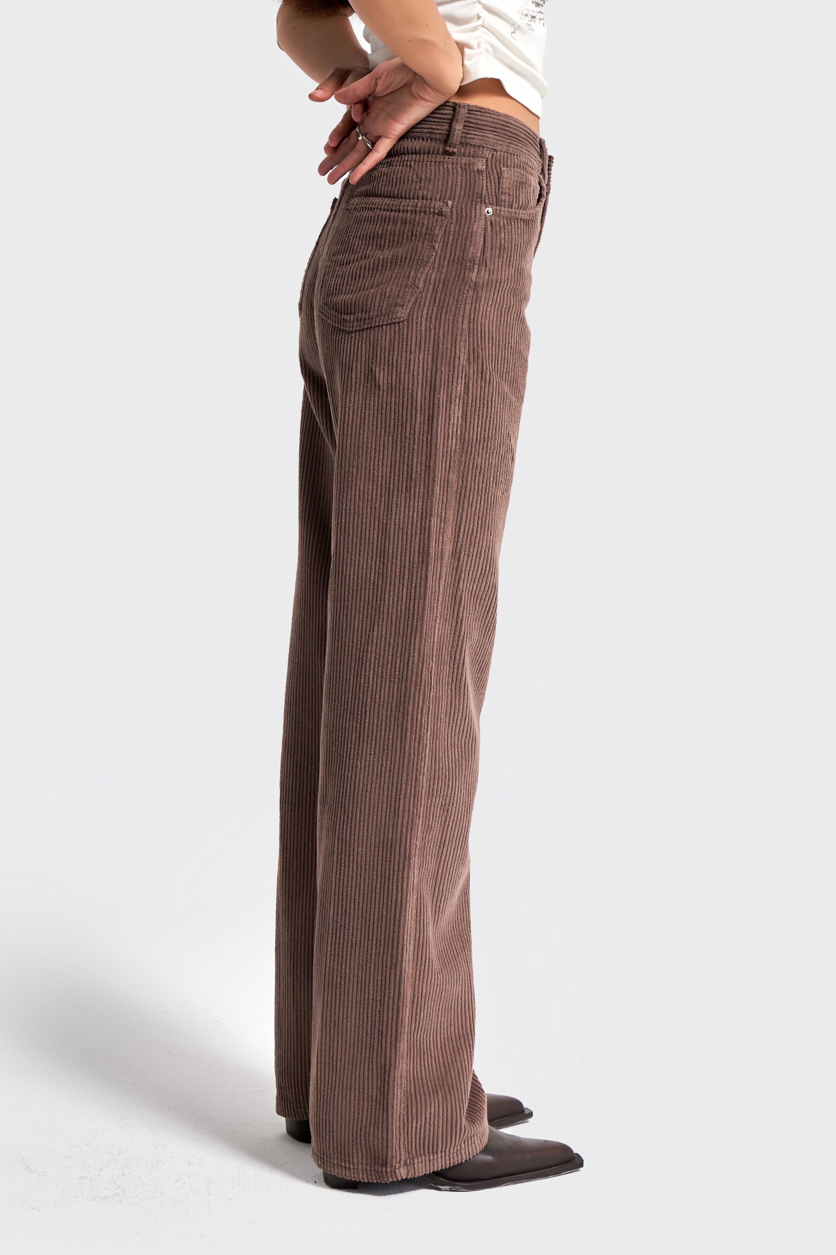 Kadın Pastel Kahve Doris 29w5-140 Straight Fit Yüksek Bel Kalın Fitilli Velvet Kadife Kumaş Pantolon