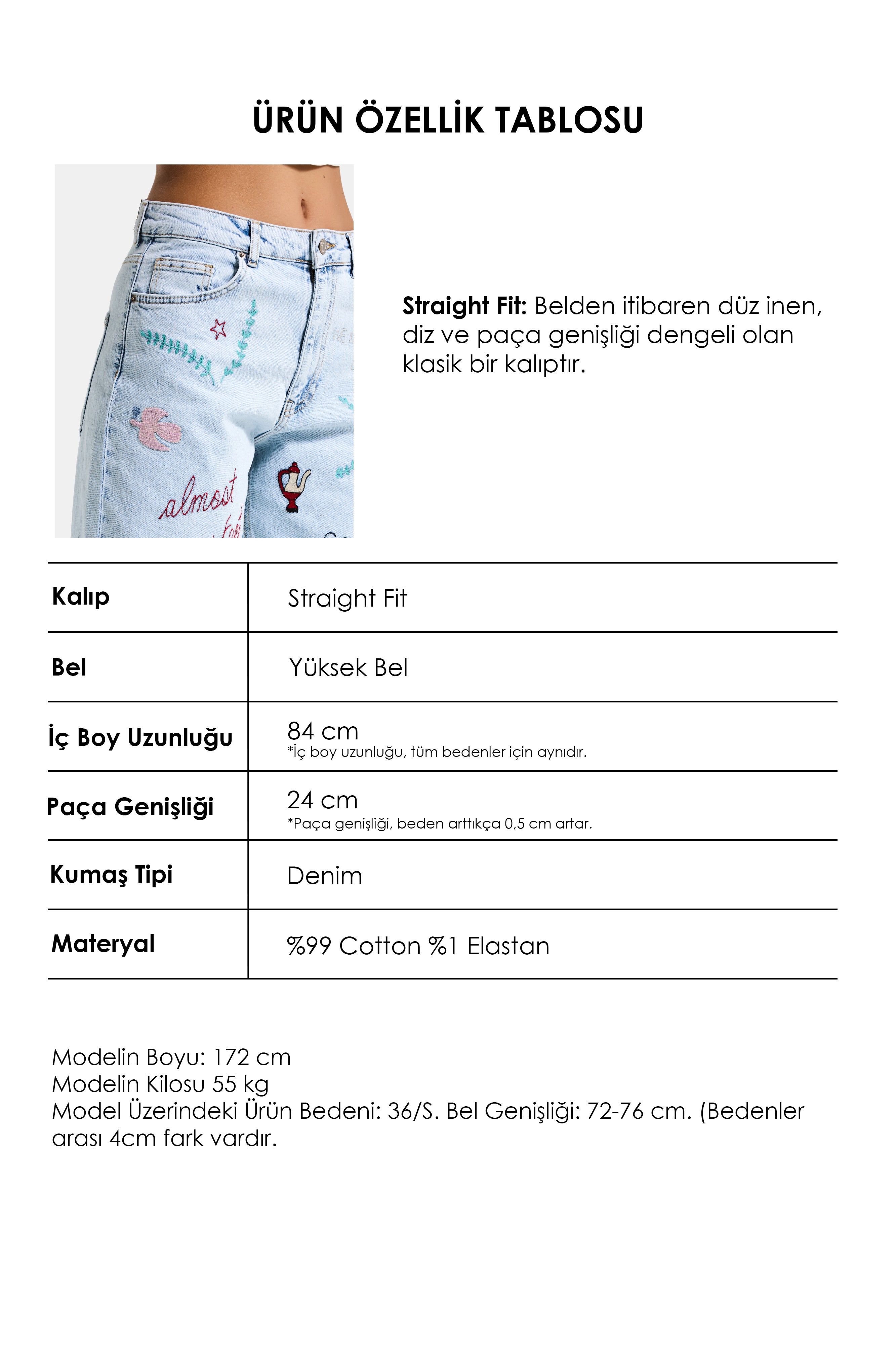Kadın Ice 3s6-100 Straight Fit Özel Figür Nakışlı Tasarım Denim Jean
